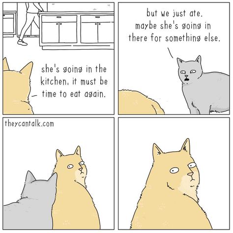 Relationship Comics, Talking Animals, Cartoon Artist, Cat Humor, Funny Illustration, Time To Eat, Cat Quotes, Funny Cat Memes, Cat Stuff