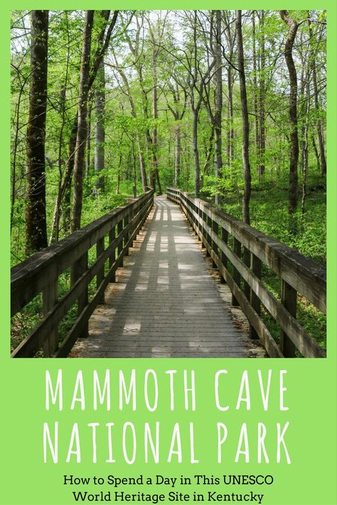 The World’s Longest Cave Is in Kentucky - Mammoth Cave National Park. South Carolina Lighthouses, Mammoth Cave National Park, Kentucky Travel, Florence Italy Travel, Mammoth Cave, Georgia Travel, Cave In, Usa Travel Destinations, United States Travel