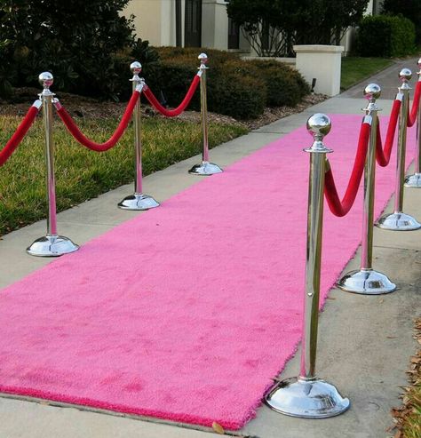 Barbie Party Decorations, Barbie Theme Party, Birthday Party Background, Barbie Birthday Party, 21 Birthday, Barbie Theme, 13th Birthday Parties, Sweet 16 Birthday Party, Pink Carpet