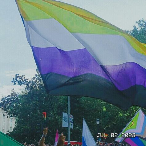 Non Binary Flag Aesthetic, Non-binary Aesthetic, Nonbinary Flag Aesthetic, Enby Vibes, Lgbtqia Aesthetic, Gender Aesthetic, Nb Aesthetic, Trans Aesthetic, Non Binary Art