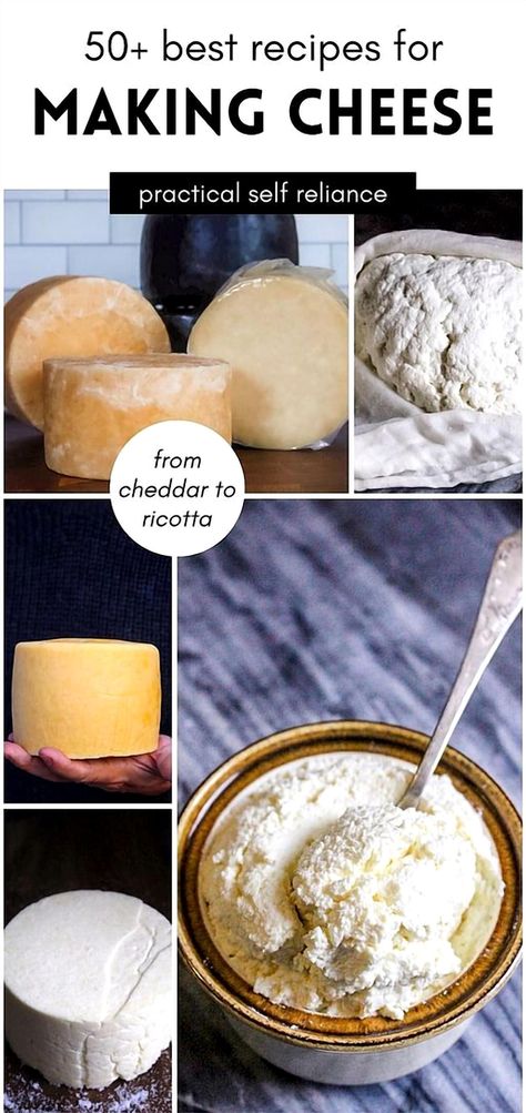 Uncover the secrets of cheese-making with our extensive collection of over 50 recipes, ranging from classic techniques to creative new methods. Perfect for anyone curious about the health perks and deep flavors of fermented dairy. Explore more straightforward whole food recipes, DIY homestead projects, and survival tips at practicalselfreliance.com. Making Cheese At Home, Homestead Projects, Cheese Recipes Homemade, Fermented Dairy, Cheese Making Recipes, Making Cheese, Dairy Drinks, Homestead Survival, Dairy Products