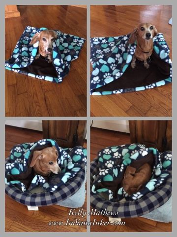 Doggy sleep sack for my dachshund. Donut Dog Bed Sewing Pattern, Dog Sleeping Bag Diy, Cat Sleeping Bag Diy, Dog Bed From Old Pillows, Sew Dog Bed Cover, Sleeping Bag Pattern, Dog Sleeping Bag, Dogs Diy Projects, Sleep Sack