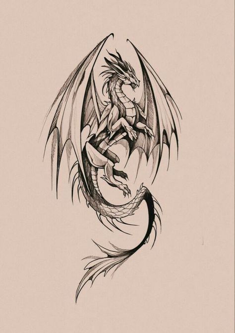 English Dragon Tattoo, Smaug Dragon Tattoo, Dragon Stencil Tattoo, Dragon Tattoo Designs Sketches, Harry Potter Dragon Tattoo, Dragon Silhouette Art, Gothic Dragon Tattoo, Western Dragon Tattoo, Tattoos Greek Mythology