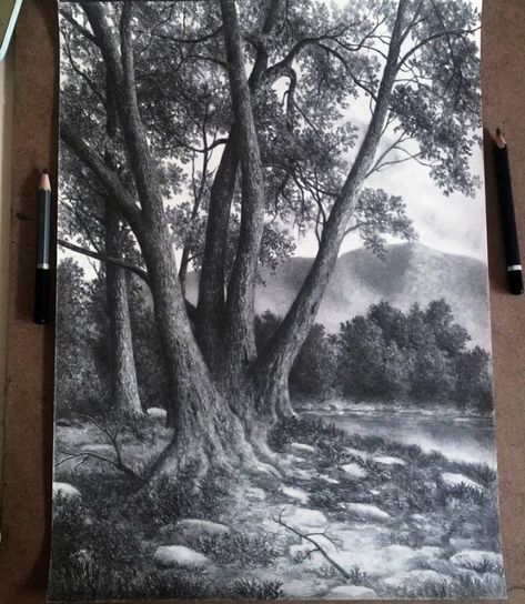 Pencil Art Drawings Trees, Forest Sketch Pencil, Nature Study Drawing Sketch, Forest Drawing Pencil, Realistic Tree Drawing, Forest Pencil Drawing, Tree Pencil Sketch, Nature Sketches Pencil, Trees Sketch