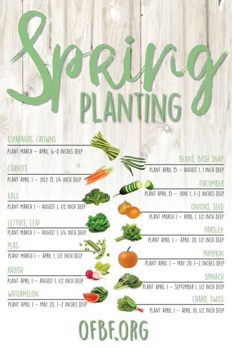 When To Plant Garden, When To Plant Seeds, Ohio Garden, Planting Pumpkins, Spring Planting, Planting Guide, When To Plant, Vegetable Garden Planning, Vegetable Garden Diy