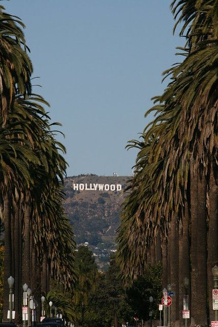 Hollywood Sign, California Love, City Of Angels, California Dreamin', California Dreaming, Hollywood California, City Aesthetic, Oh The Places Youll Go, California Usa