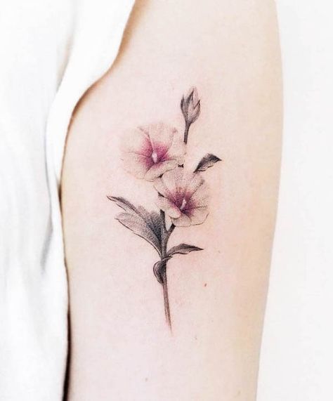 Morning Glory Collar Bone Tattoo, Morning Glory Tattoos For Women, September Birth Flower Tattoo Morning Glories, Morning Glory Tattoo Simple, Morning Glory Tattoo Design, Morning Glory Flowers Tattoo, September Tattoo Ideas, September Flower Tattoo, December Flower Tattoo