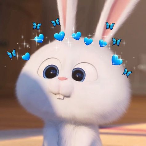 Anime Photo Profile Cool, Snowball Rabbit, Trending Summer Nails, Me Highlight Cover Instagram Aesthetic, Rabbit Wallpaper, Disney Princess Cartoons, Rabbit Photos, Whatsapp Wallpaper Cute