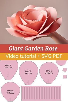 Paper Flower Photo Backdrop, How To Make Flowers Out Of Paper, Diy Large Paper Flowers, Large Paper Flowers Diy, Big Paper Flowers, Giant Flowers Diy, Giant Paper Flowers Template, Flower Petal Template, Paper Flowers Diy Easy