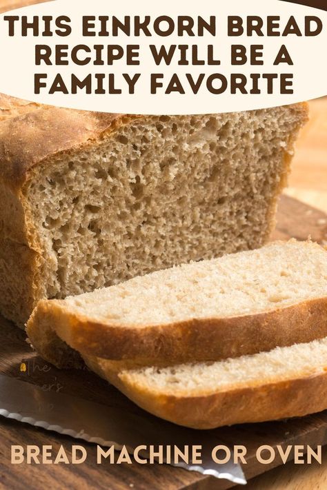 loaf of einkorn bread sliced Whole Grain Einkorn Bread, Bread Machine Einkorn Bread, Emmer Flour Bread, Einkorn Graham Crackers, Einkorn Quick Bread, Einkorn French Bread, Einkorn Flour Bread Machine Recipes, Einkorn Recipes Breads, Einkorn Sandwich Bread Recipe