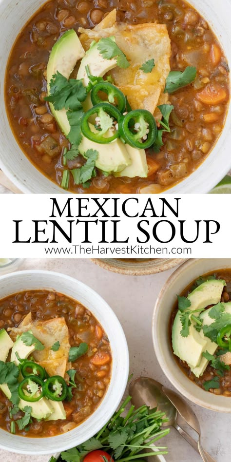 Mexican Lentil Soup Recipe, Italian Lentil Soup Recipe, Garlic Vegetables, Lentil Recipes Easy, Vegetarian Lentil Soup, Mexican Soup Recipes, Lentil Soup Recipe, Mexican Soup, Lentil Soup Recipes