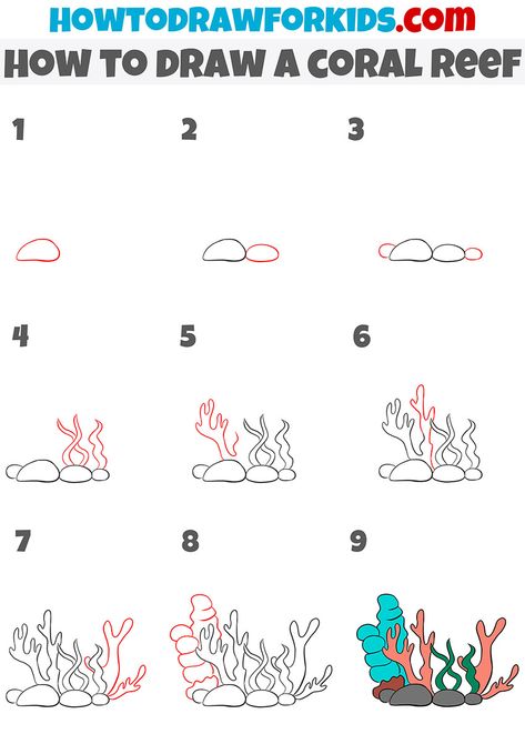 how to draw a coral reef step by step Coral Reef Watercolor Easy, Coral And Fish Drawing, Simple Coral Reef Drawing, Drawings Of Coral, Coral Drawings Simple, Drawing Of Coral Reef, How To Draw A Coral Reef, Ocean Life Drawings Easy, Coral Drawing Tutorial