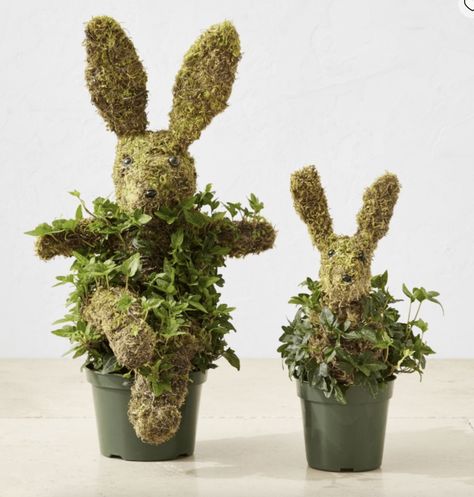 Easter Ideas  – williams sonoma Bunny Topiary, Live Topiary, Half Moon Bay California, Box Wood Shrub, English Ivy, Kids Pottery, Half Moon Bay, Wire Frame, Holiday Time