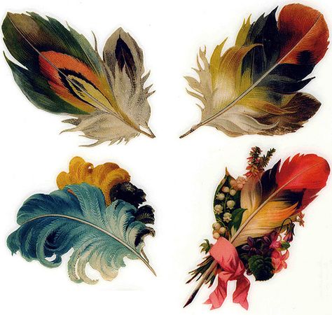 Illustration Botanique, Feather Painting, Feather Art, Painting Inspo, Birds Tattoo, Mix Media, Relax Time, Bird Feathers, Holiday Decorations