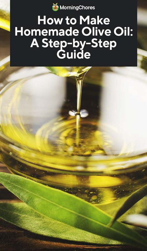 Homemade Olive Oil, Orange Olive Oil Cake, Olive Oil Dip, Types Of Olives, Olive Oil Bread, Olive Oil Recipes, Olive Recipes, Lemon Olive Oil, Homemade Oil