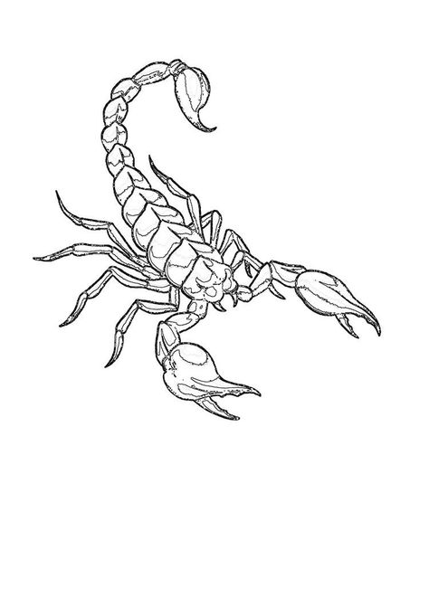 Scorpion Tattoo Drawing, Scorpion Tattoo Stencil, Starsign Tattoo, Scorpion Tattoo For Men, Scorpion Outline, Tattoo Ideas For Men Meaningful, Forearm Tattoo Ideas For Men, Flash Tattoo Sleeve, Scorpion Tattoo Design