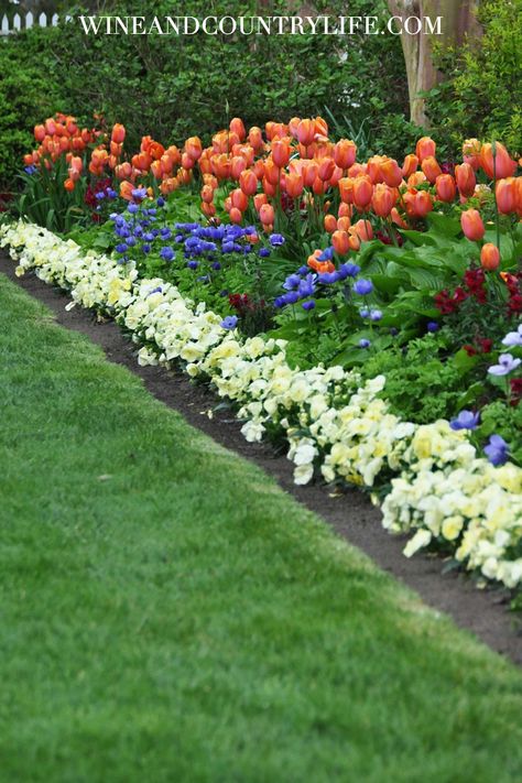 Tulip Border, Lewis Ginter Botanical Garden, Virginia Wine Country, Virginia Wineries, Benefits Of Gardening, Garden Pavilion, Old Town Alexandria, Most Beautiful Gardens, Spring Tulips