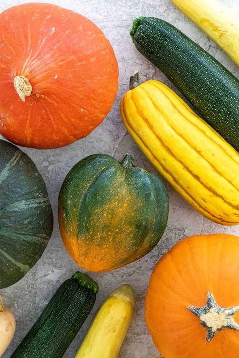 Though they're pillars of the produce aisle, there are several types of squash to know and love. A list of summer and winter varieties. #squash #wintersquash #summersquash Squash Varieties Types Of, Types Of Squash Winter, Types Of Squash Summer, Different Squash Types, Vegetable Photos, Different Kinds Of Squash, Types Of Squash, Carnival Squash, Yellow Crookneck Squash