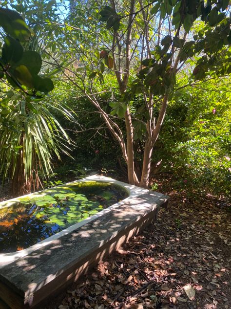 a bath in a garden with a pond in it with lily pads Bathtub Pond, Fairy Garden Outdoor, Wildlife Pond, Frog Mushroom, Frog Pond, Outdoor Bathtub, Indie Alt, Cottagecore Fairy, Painting Inspo