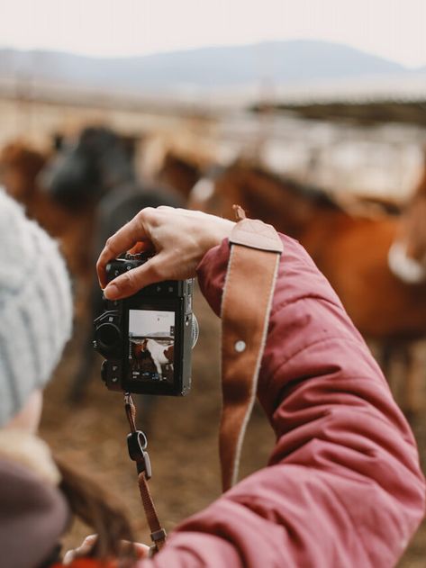 Horse Photography Tips - Helpful Horse Hints Horse Photographer, Branding Shoot, Photography Classes, Horse Photos, Horse Photography, Horse Pictures, Best Camera, A Horse, Photography Tips