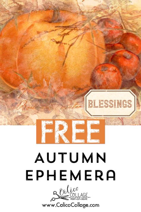 Free Autumn Ephemera Cards – CalicoCollage Autumn Junk Journal Printables, Autumn Ephemera, Vintage Labels Printables Free, Journal Autumn, Vintage Labels Printables, Collage Printables, Autumn Field, Ephemera Cards, Scrapbook Printables Free