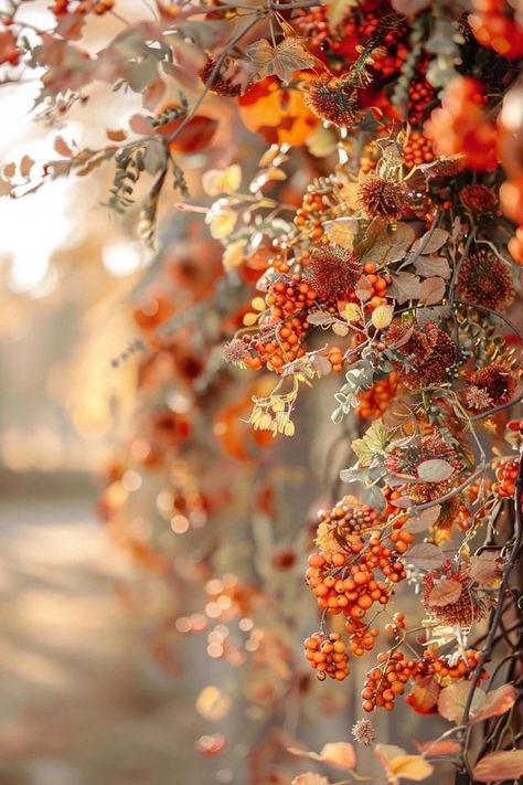 Fall Screensavers Wallpapers Autumn, Autumn Screensaver, Wallpaper Autumn Aesthetic, Pumpkins Aesthetic, Ethereal Autumn, September Aesthetic, Pretty Porches, Cozy Fall Aesthetic, Autumn Garland