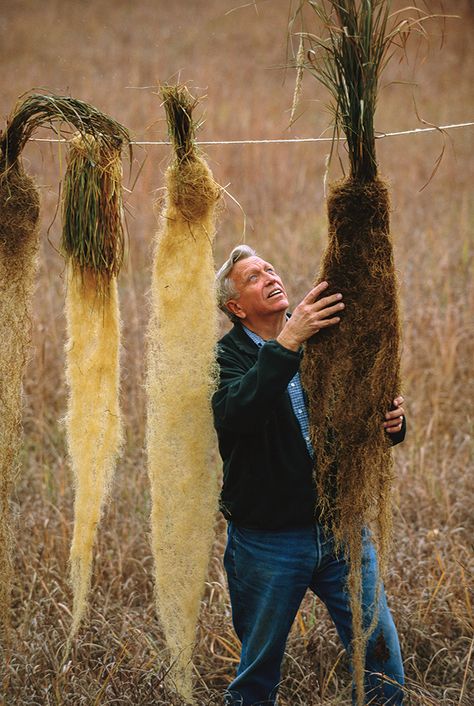 Fast Fashion, Hemp Textiles, and the Climate Crisis | HEMP Magazine New Cereal, From Farm To Table, Root Structure, Sustainable Agriculture, Weather Patterns, Soil Health, Top Soil, Organic Matter, Organic Farming