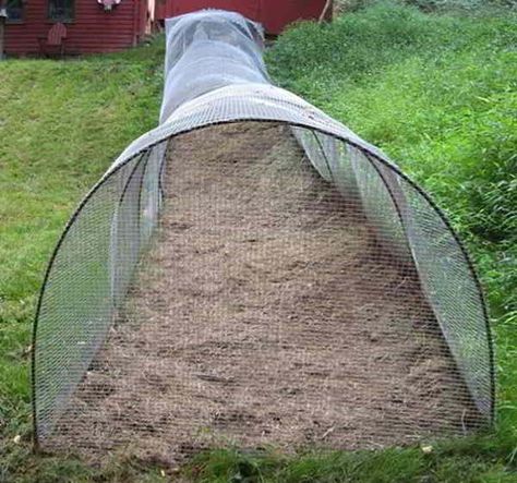 DIY Chicken Tunnel (Step-by-Step Guide) | Ask a Prepper Diy Chicken Tunnel, Chicken Tunnel, Chicken Tunnels, Urban Chicken Farming, Chicken Fence, Portable Chicken Coop, Chicken Pen, Urban Chickens, Coop Design