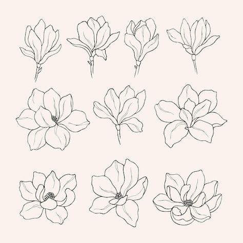 Download this Premium Vector about Set of hand drawn magnolia flowers, and discover more than 15 Million Professional Graphic Resources on Freepik Individual Flower Drawing, Drawing Of Magnolia Flower, Magnolia Flower Design, Magnolia Flower Embroidery, Easy Magnolia Drawing, Magnolia Flower Line Drawing, Drawing Magnolia Flowers, Magnolia Flower Sketch, Floral Line Drawing Simple