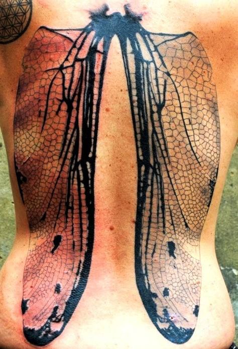 Amazing Bug Wings.... By ~ Mitzu Dragonfly Tattoos, Wing Tattoos On Back, Insect Tattoo, Wing Tattoo, Dragonfly Wings, Wings Tattoo, Tattoo Life, Nature Tattoos, Dope Tattoos