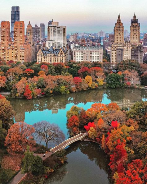 San Myshuno, Nyc Fall, Rhapsody In Blue, Central Park Nyc, Autumn In New York, New York Pictures, New York Photos, Nyc Life, Ny City