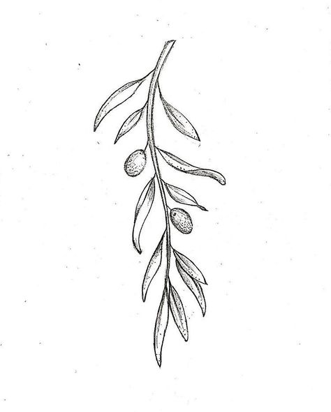 Tiny Olive Tattoo, Olives Tattoo Design, Olive Beach Tattoo, Realistic Olive Branch Tattoo, Olive Branch Tattoo Ideas, Olive Branch Tattoo Back Of Arm, Olive Brand Tattoo, Olive Branch Stamp Tattoo, Olive Juice Tattoo