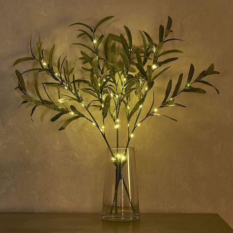 Fairy Lights For Wedding, Olive Tree Branch, Lights For Wedding, Vase With Branches, Tall Glass Vase, Lighted Branches, Birch Branches, Olive Branches, Eucalyptus Branches