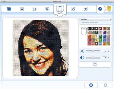 PhotoPearls - Download PhotoPearls software. make your own perler / hama / nabbi bead designs from a picture Lego Print, Lego Mosaic, Pearl Crafts, Perler Bead Templates, Graph Design, Hama Beads Patterns, Beads Pictures, Melting Beads, Bead Pattern