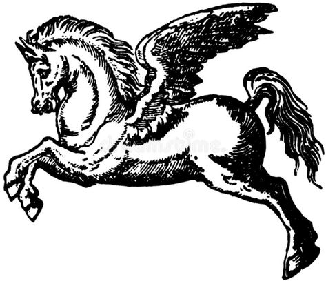 2018/01/25 Black And White Pegasus Illustration Free Public Domain Cc0 Image Vintage Pegasus Illustration, Pegasus Illustration, Pegasus Drawing, White Pegasus, Pegasus Tattoo, Picture Black And White, Graphics Tshirt, Tinned Fish, Greek Theatre