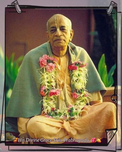 Prabhupada Quotes, Swami Prabhupada, Arte Yoga, Environmental Movement, Buddhist Philosophy, Srila Prabhupada, Divine Grace, Sri Krishna, Divine Mother