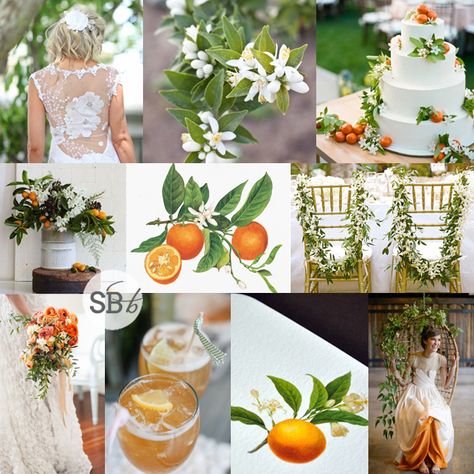 Inspiration Board: Orange Blossom Orange Blossom Wedding, Botanical Wedding Inspiration, Beauty Plan, Citrus Wedding, Wedding Palette, Wedding Inspiration Board, Wedding Color Palette, Botanical Wedding, I Get It