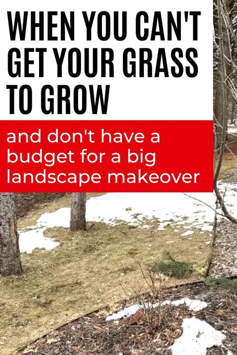 If you can't get your front lawn to grow grass then you'll love this budget friendly front yard landscaping idea. Easy DIY gravel path for your front yard. Increase curb appeal with this landscaping idea on a budget. No Grass Front Yard Ideas, No Grass Yard Ideas, Diy Cake Plate Stand, No Grass Yard, Big Landscape, Diy Upholstery Cleaner, Small House Diy, Increase Curb Appeal, Garden Goddess