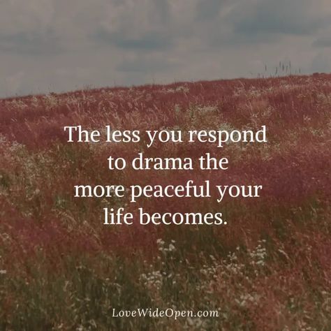 The less you respond to drama the more peaceful your life becomes. Drama sucks all the good ness out of you. Drama keeps you stuck. When You Cause Your Own Drama, Less People Less Drama Quotes, Life Drama Quotes, Stuck Quote Life, Stop Sharing Your Life Quotes, Quotes On Drama, Drama Free Life Quotes, Respond Quotes, Girl Drama Quotes