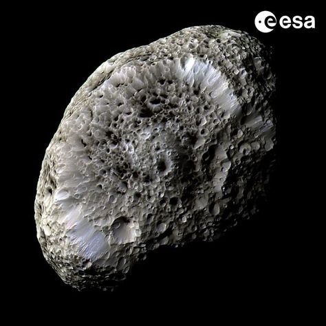 The subject of this image bears a remarkable resemblance to a porous sea sponge, floating in the inky black surroundings of the deep sea. It is actually one of Saturn’s outer moons, Hyperion, seen in incredible detail by the international Cassini spacecraft in 2005. Image: NASA/JPL/Space Science Institute Nasa Solar System, Cassini Spacecraft, Saturns Moons, Astronomy Facts, Space Probe, Astronomy Pictures, Moon Surface, Space Facts, Nasa Jpl