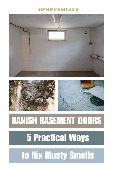 Smelly Basement Remedy, Basement Smell Get Rid Of, Musty Basement How To Get Rid Of, How To Get Rid Of Musty Basement Smell, How To Make Your House Not Smell Like Dog, Musty Smell In House, How To Keep Your House From Smelling Like Dog, Basement Odor, Mold Smell