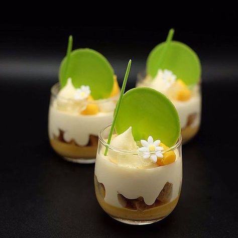 Mini Mousse, Coconut Mousse, Antonio Bachour, Cake Coconut, Fine Dining Desserts, Mango Pudding, Mango Mousse, Chocolate Garnishes, Buttercream Cake Decorating