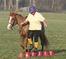 Mounted Games Horses, Equine Therapy Activities, Horse Riding Games, Horse Education, Horse Socks, Forest Games, Pony Games, Horse Lessons, Christmas Poses