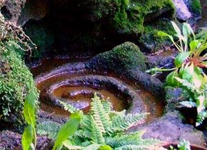 Such a peaceful place..  White Spring Glastonbury Herne The Hunter, Sacred Well, Spiritual Garden, Mists Of Avalon, Glastonbury Tor, Somerset England, Crop Circles, Peaceful Places, Sacred Places