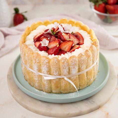 Charlotte Cake – Sugar Geek Show Charlotte Cake Recipe, Lemon Charlotte, Charlotte Russe Cake, Geek Recipes, Lumberjack Cake, Sugar Geek, Charlotte Cake, Tasty Cake, How To Stack Cakes