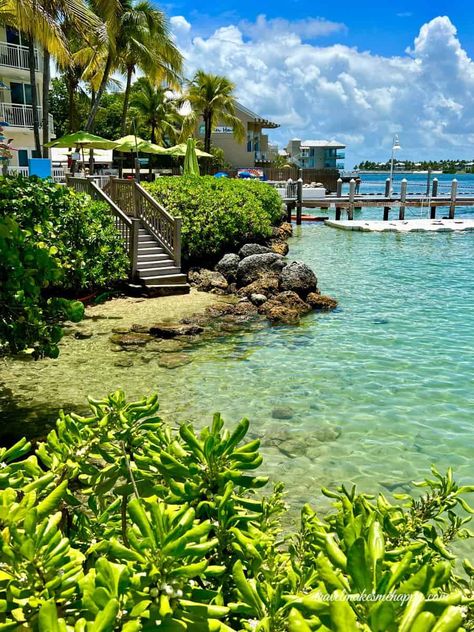 hyatt centric key west water view with steps leading to the water Key West Florida Aesthetic, Florida Keys Aesthetic, Key West Aesthetic Pictures, Key West Aesthetic, Key West Kitten Aesthetic Wallpaper, Flordia Keys, Sydney Core, Key West Places To Stay, Old Town Key West