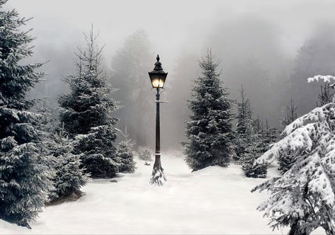 Narnia Lamp Post Wallpaper, Snowy Lamp Post, Narnia Landscape, Narnia Forest, The Chronicles Of Narnia Aesthetic, Chronicles Of Narnia Aesthetic, The Narnia Chronicles, Narnia Winter, Narnia Room