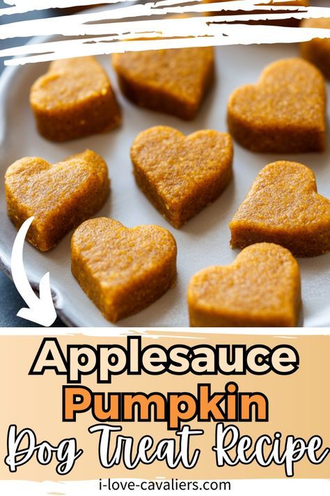 If you're looking for a nutritious treat for your pup, you need to try our homemade pumpkin applesauce dog treats. This easy pumpkin dog treat recipe, made with pumpkin puree and without peanut butter, creates a delicious snack. These homemade dog treats are simple to make and perfect for a healthy diet. Enjoy making these DIY dog treats with pumpkin that are both tasty and beneficial for your pet. Homemade Dog Treats With Pumpkin And Applesauce, Dog Treats Made With Pumpkin Puree, Pumpkin Cat Treats Recipe, Diy Dog Treats No Peanut Butter, Cat And Dog Treats Homemade, Homemade Dog Pumpkin Treats, Dog Treat With Pumpkin, Homemade Dog Treats Peanut Butter Pumpkin, Simple Pumpkin Dog Treats