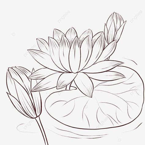 Lotus Clipart Black And White, Lotus Drawing Simple, White Png Transparent, Lotus Paintings, Rangoli Drawing, Lotus Flower Drawing, Lotus Drawing, Angel Sketch, Wing Drawing