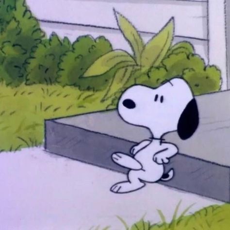 Snoopy Pfp, A Cartoon, Snoopy